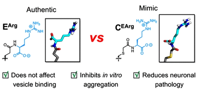 Advancements in Protein lipidation Research